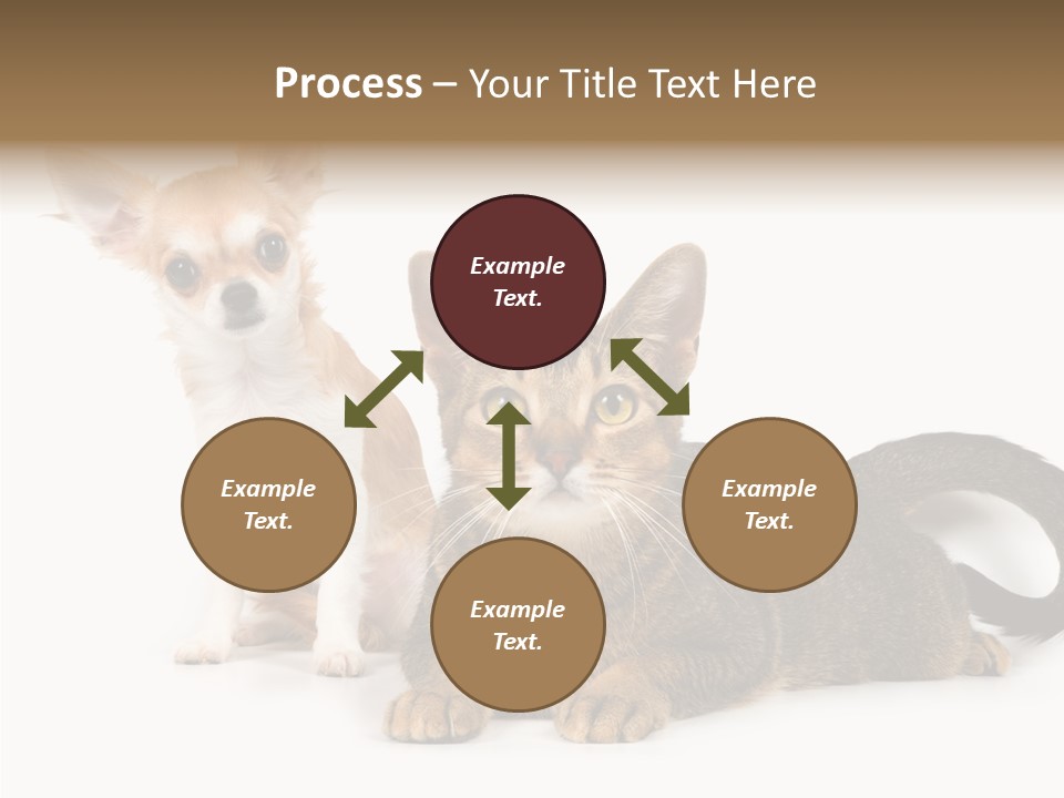 Kitten Love Playful PowerPoint Template