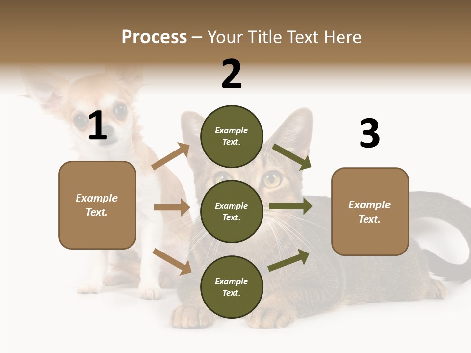 Kitten Love Playful PowerPoint Template