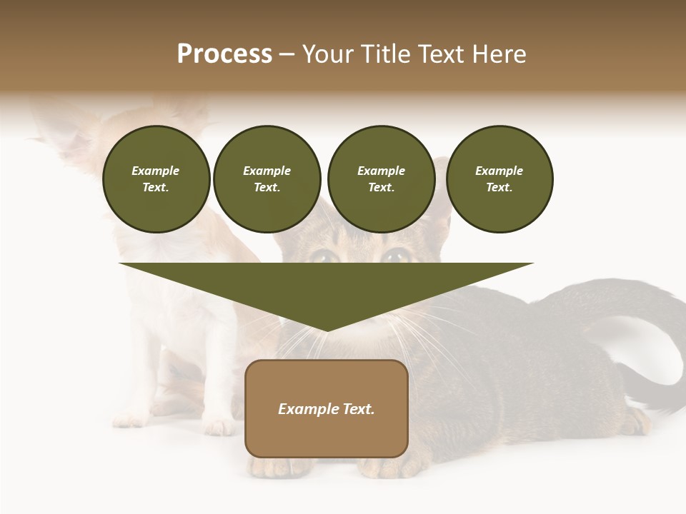 Kitten Love Playful PowerPoint Template