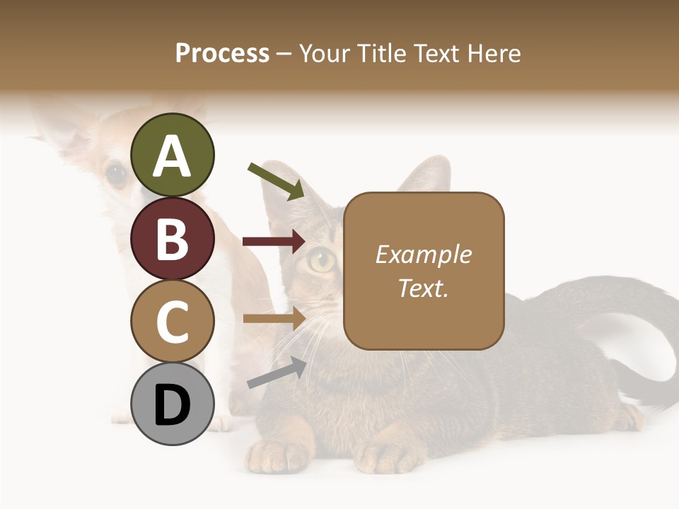 Kitten Love Playful PowerPoint Template