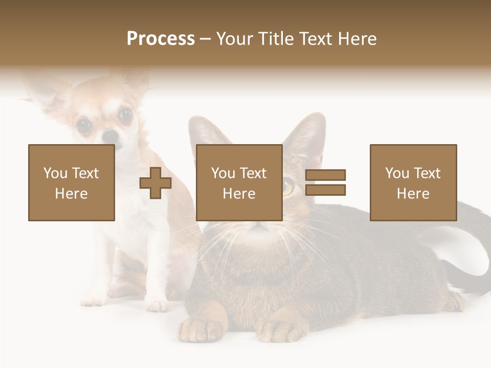 Kitten Love Playful PowerPoint Template