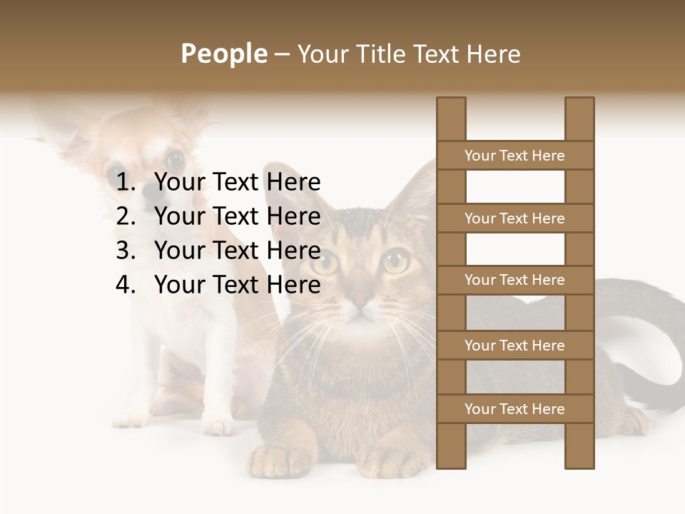 Kitten Love Playful PowerPoint Template