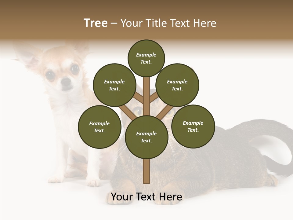 Kitten Love Playful PowerPoint Template