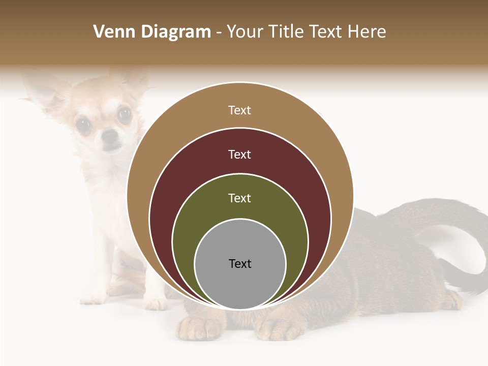 Kitten Love Playful PowerPoint Template