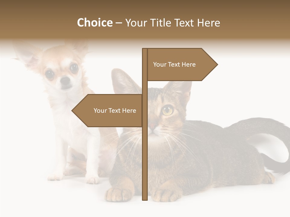 Kitten Love Playful PowerPoint Template