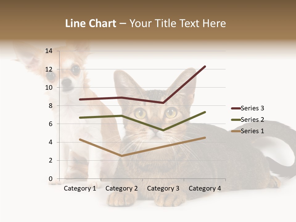 Kitten Love Playful PowerPoint Template