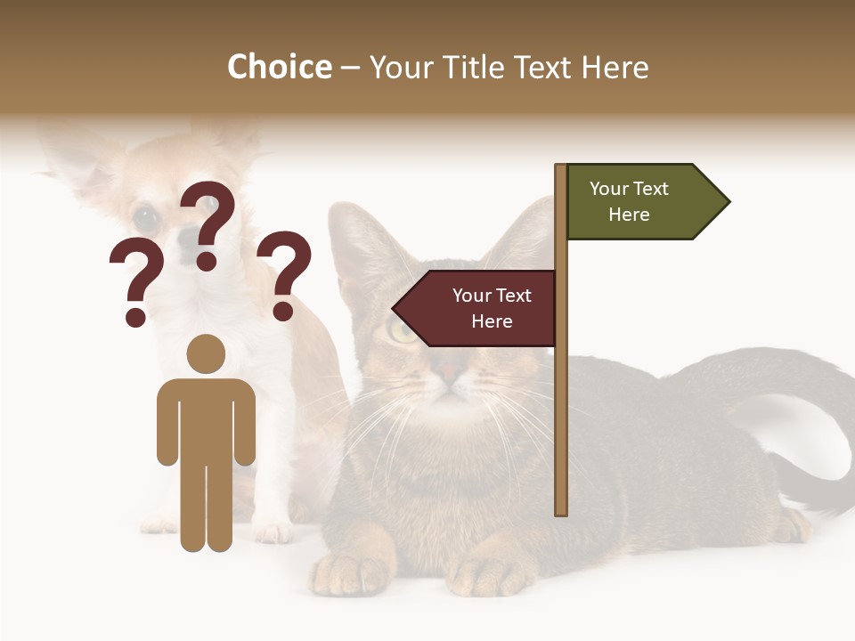 Kitten Love Playful PowerPoint Template