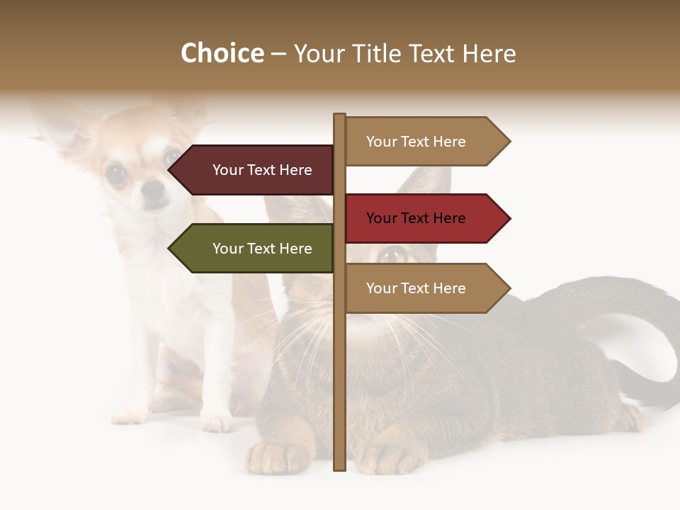 Kitten Love Playful PowerPoint Template