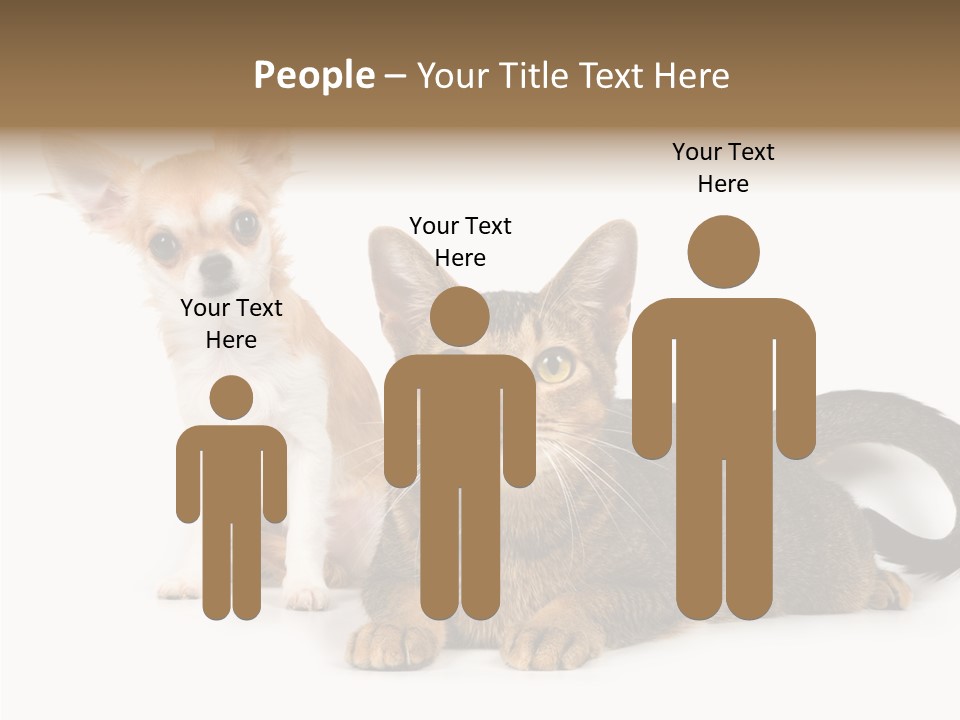 Kitten Love Playful PowerPoint Template