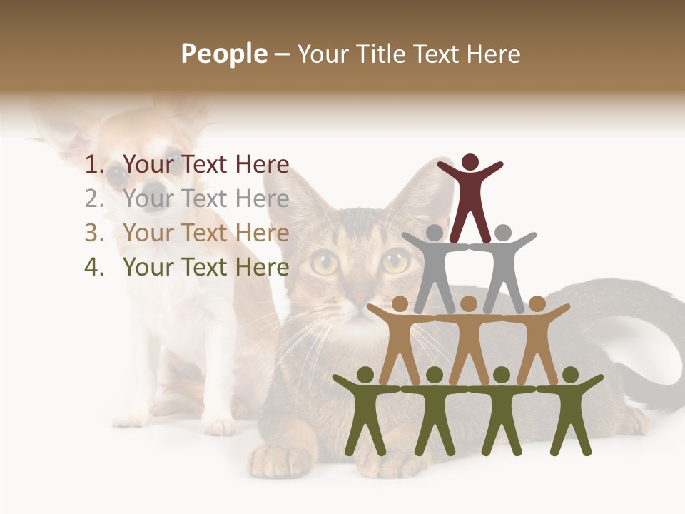 Kitten Love Playful PowerPoint Template