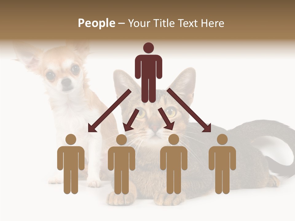 Kitten Love Playful PowerPoint Template