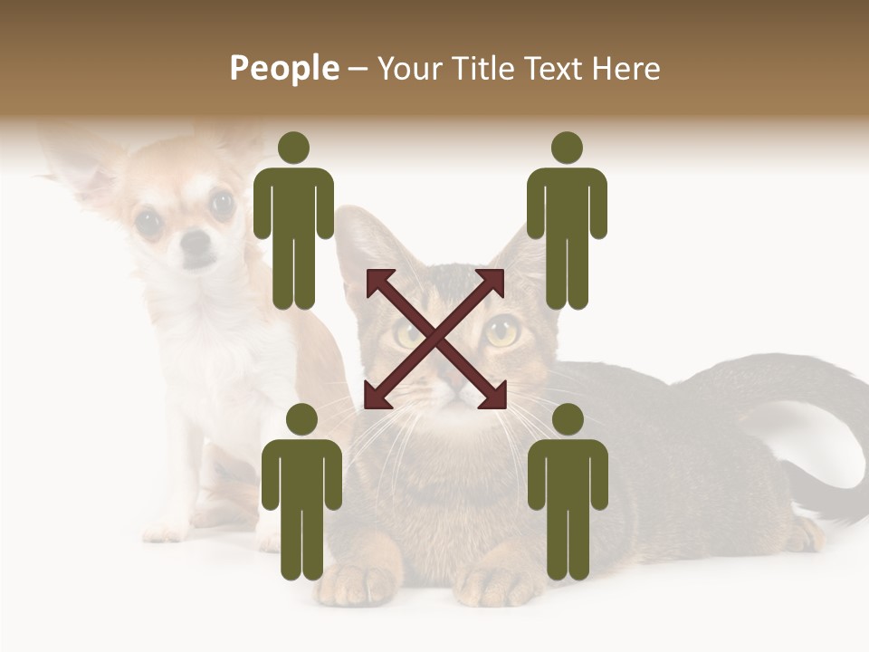 Kitten Love Playful PowerPoint Template