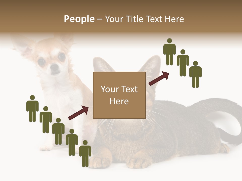 Kitten Love Playful PowerPoint Template