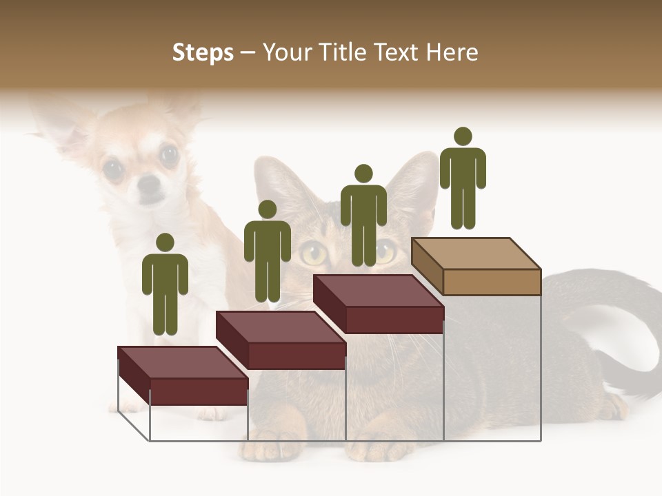 Kitten Love Playful PowerPoint Template