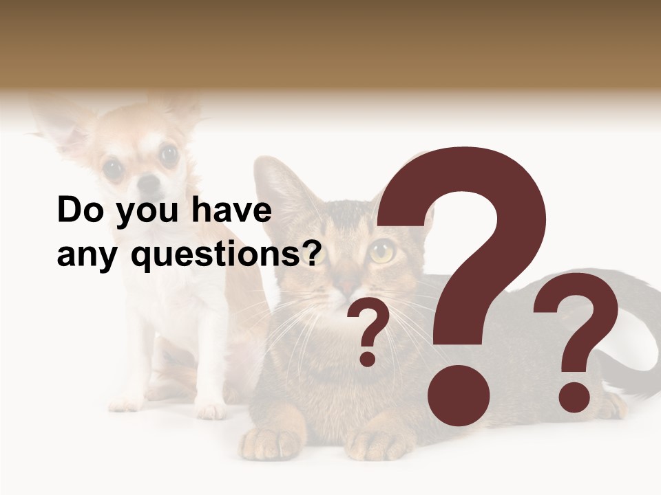 Kitten Love Playful PowerPoint Template