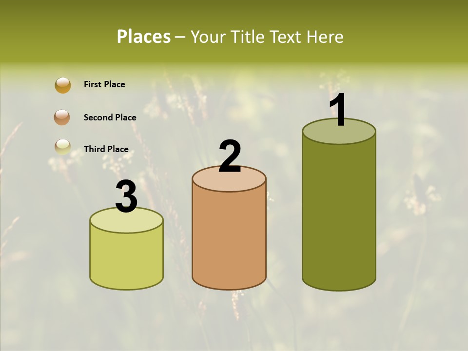 Sun Flower Under PowerPoint Template