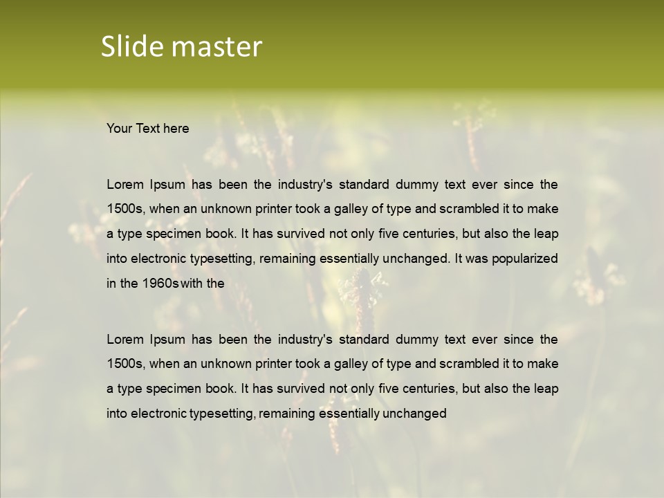 Sun Flower Under PowerPoint Template