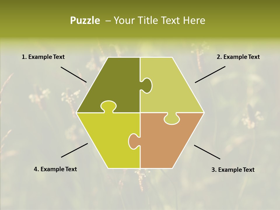 Sun Flower Under PowerPoint Template