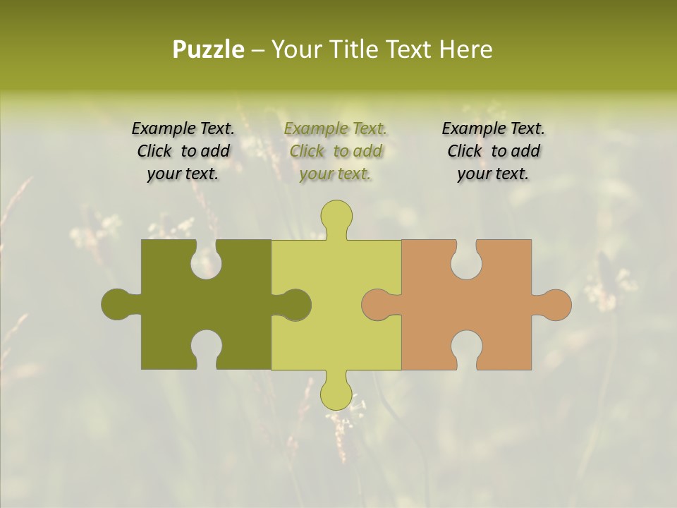 Sun Flower Under PowerPoint Template