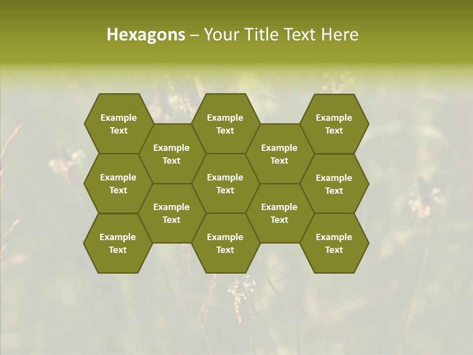 Sun Flower Under PowerPoint Template