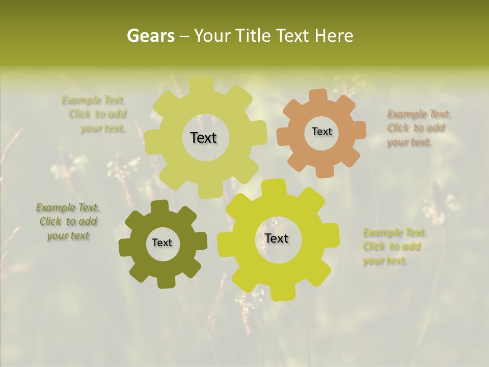 Sun Flower Under PowerPoint Template