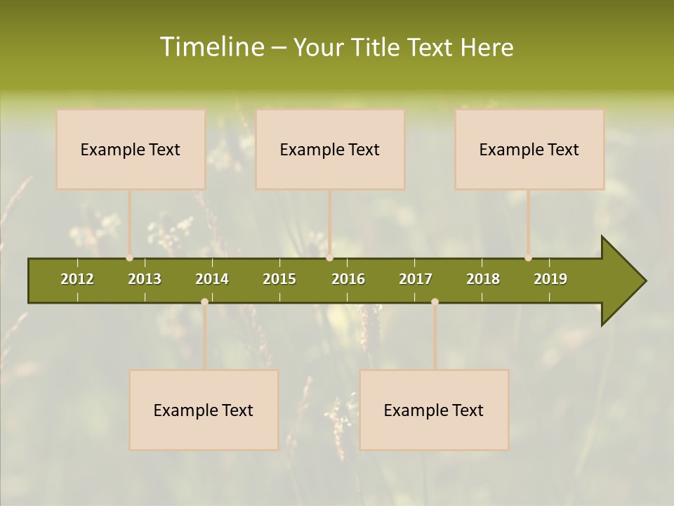 Sun Flower Under PowerPoint Template