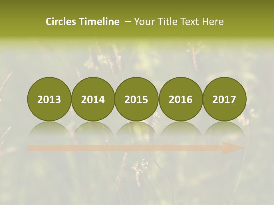 Sun Flower Under PowerPoint Template