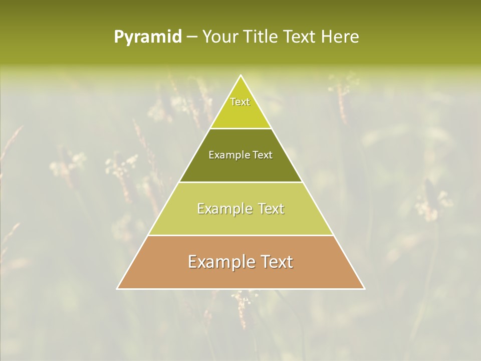 Sun Flower Under PowerPoint Template