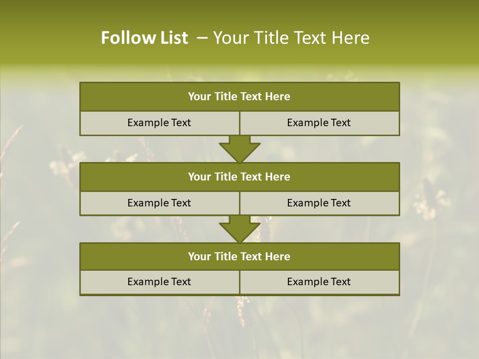 Sun Flower Under PowerPoint Template