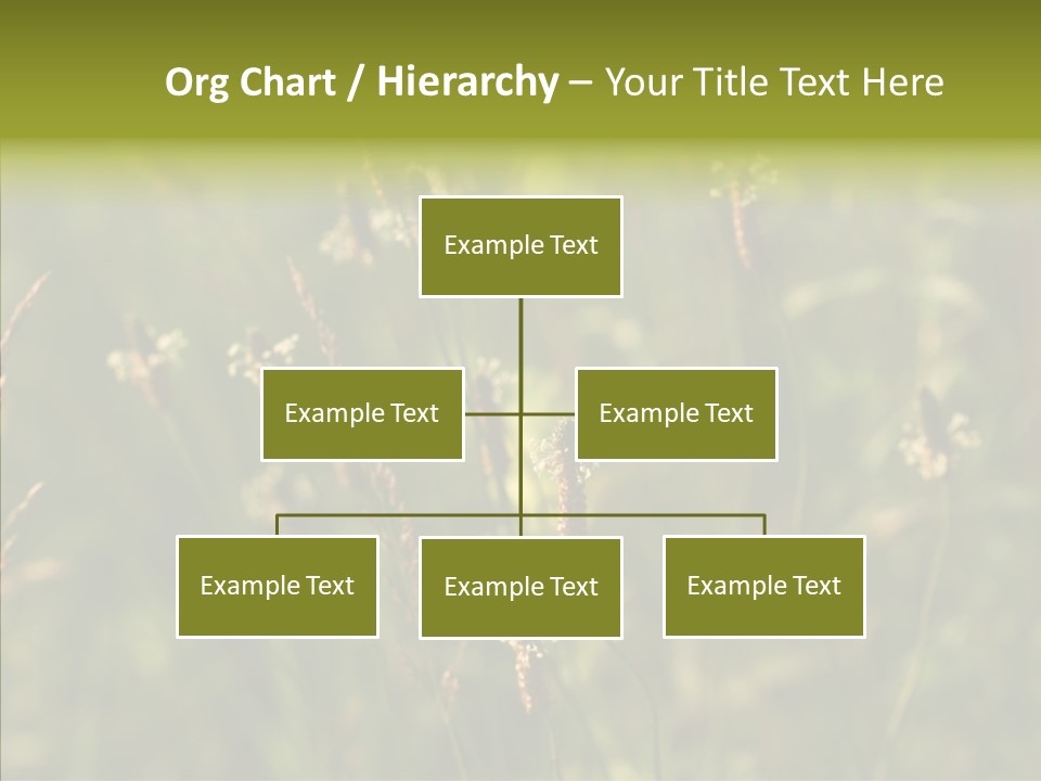 Sun Flower Under PowerPoint Template