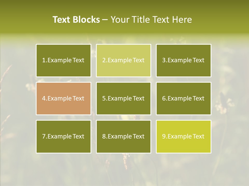 Sun Flower Under PowerPoint Template