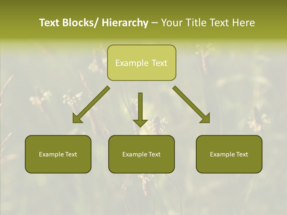 Sun Flower Under PowerPoint Template