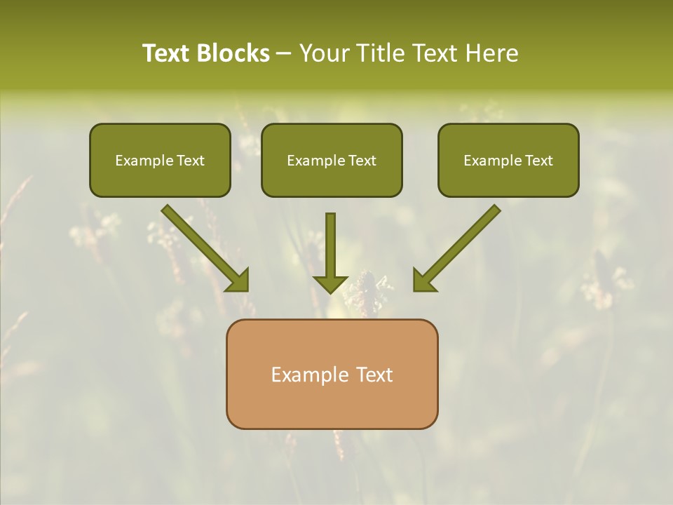 Sun Flower Under PowerPoint Template