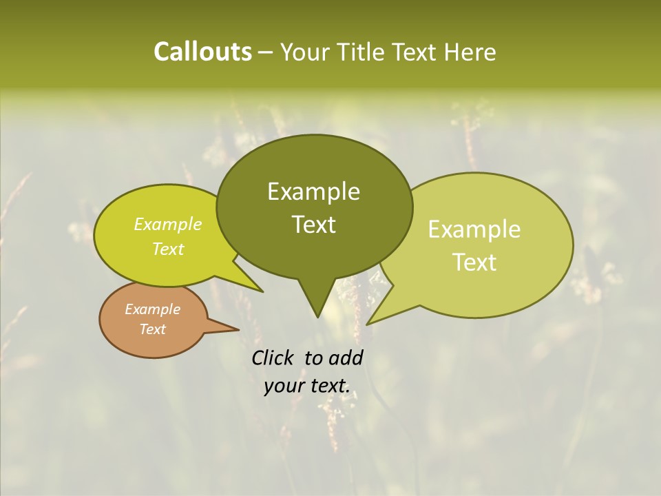 Sun Flower Under PowerPoint Template