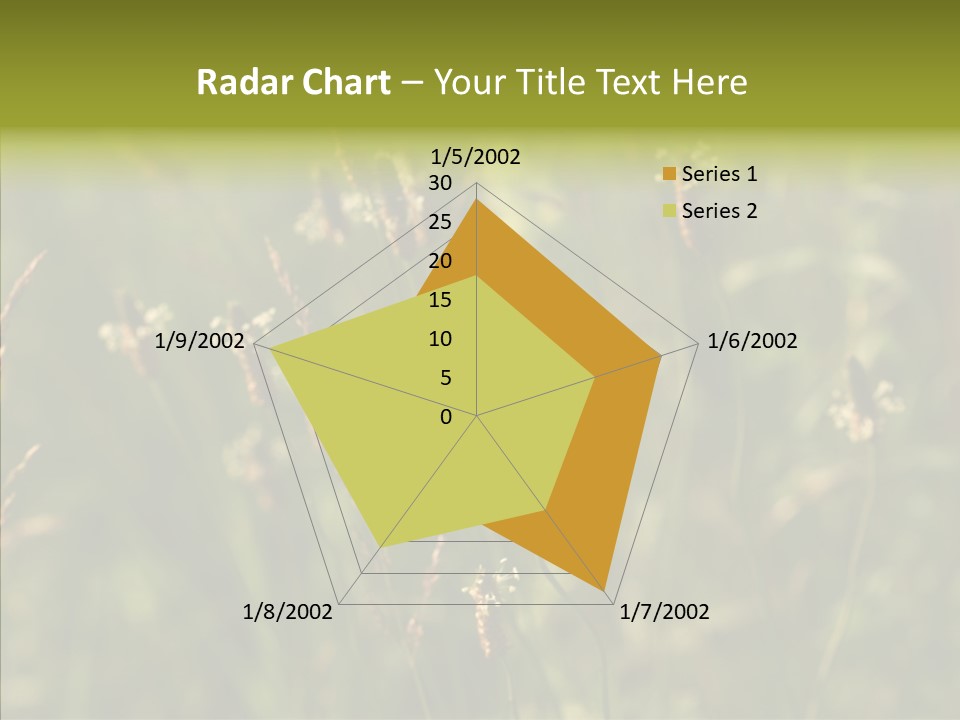 Sun Flower Under PowerPoint Template