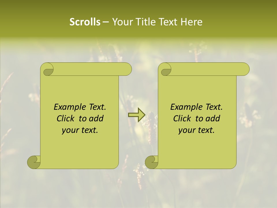 Sun Flower Under PowerPoint Template