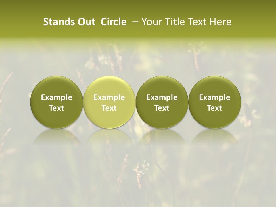 Sun Flower Under PowerPoint Template