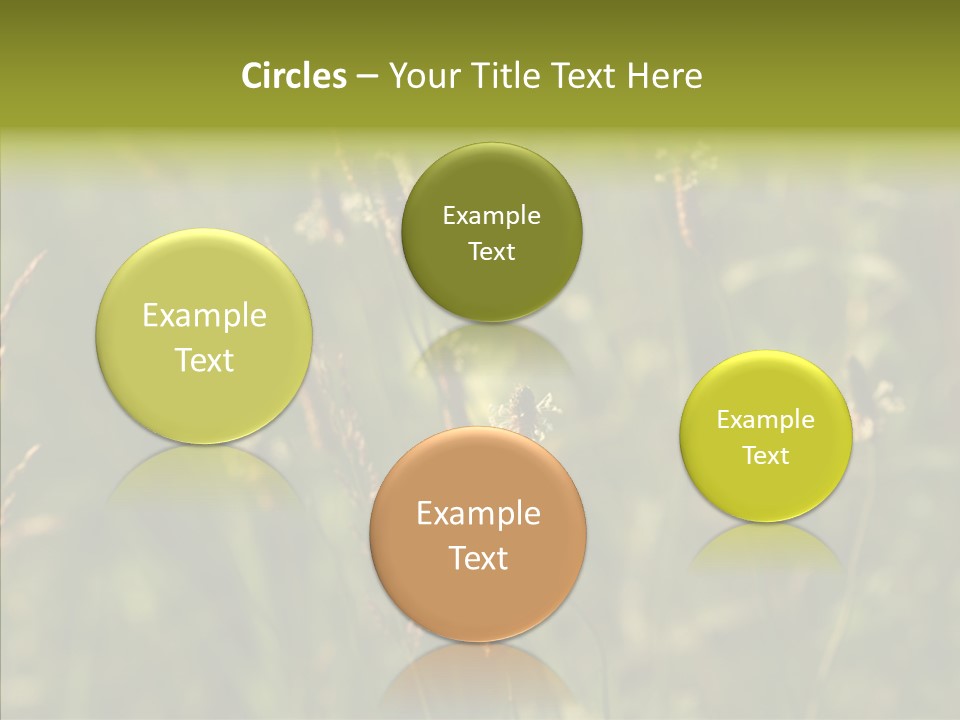 Sun Flower Under PowerPoint Template