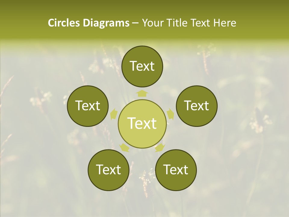 Sun Flower Under PowerPoint Template