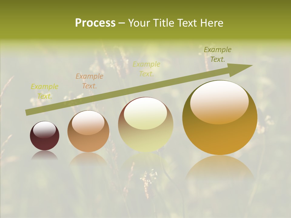 Sun Flower Under PowerPoint Template