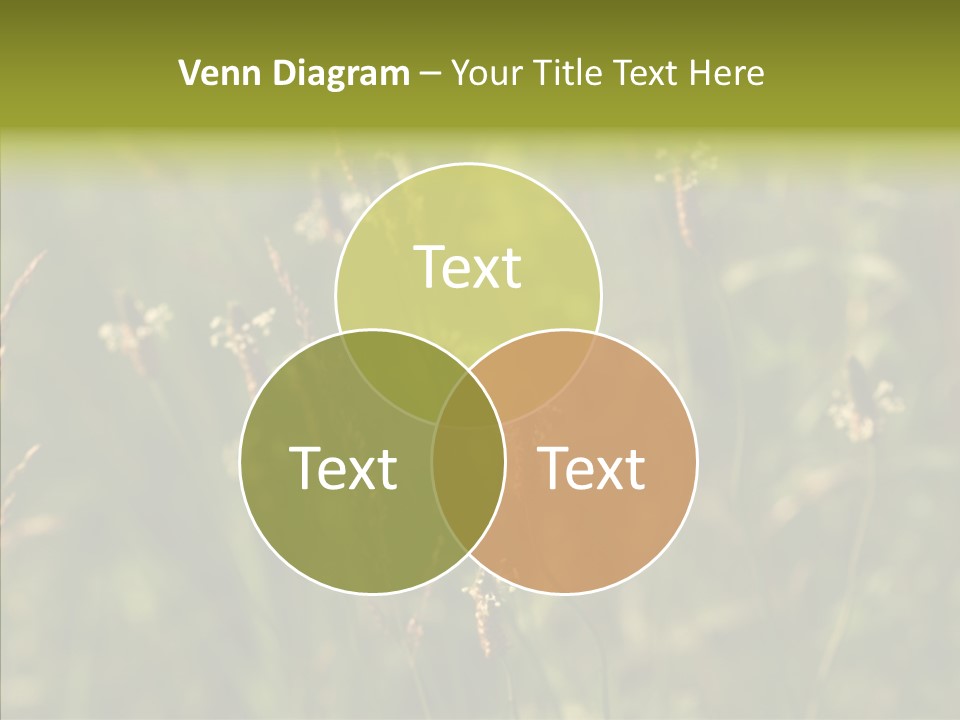 Sun Flower Under PowerPoint Template