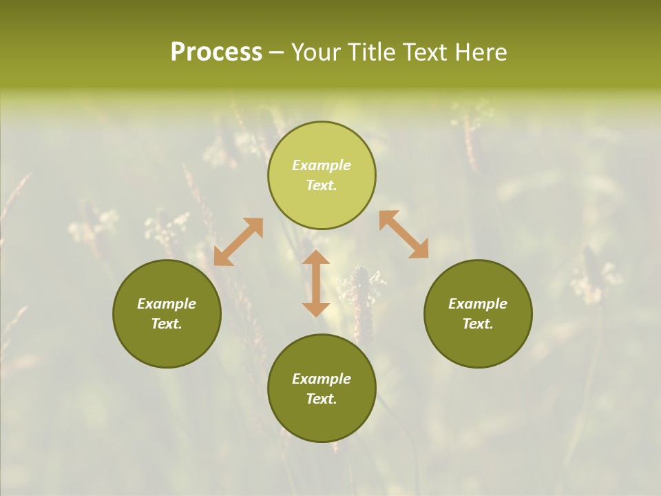 Sun Flower Under PowerPoint Template