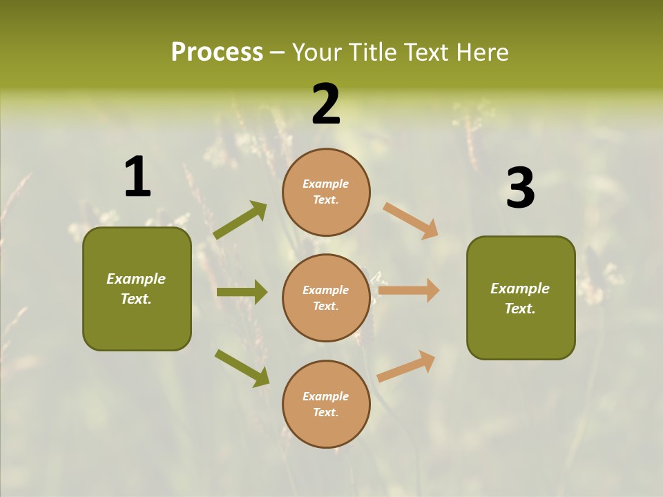 Sun Flower Under PowerPoint Template