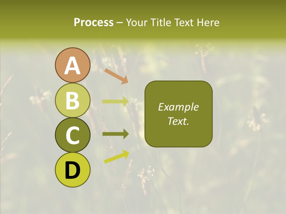 Sun Flower Under PowerPoint Template