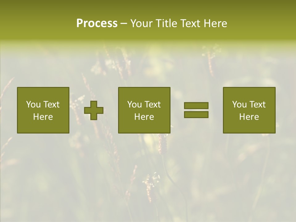 Sun Flower Under PowerPoint Template