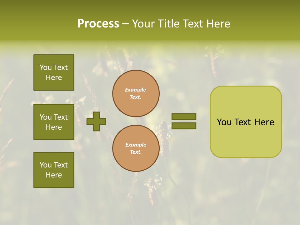 Sun Flower Under PowerPoint Template