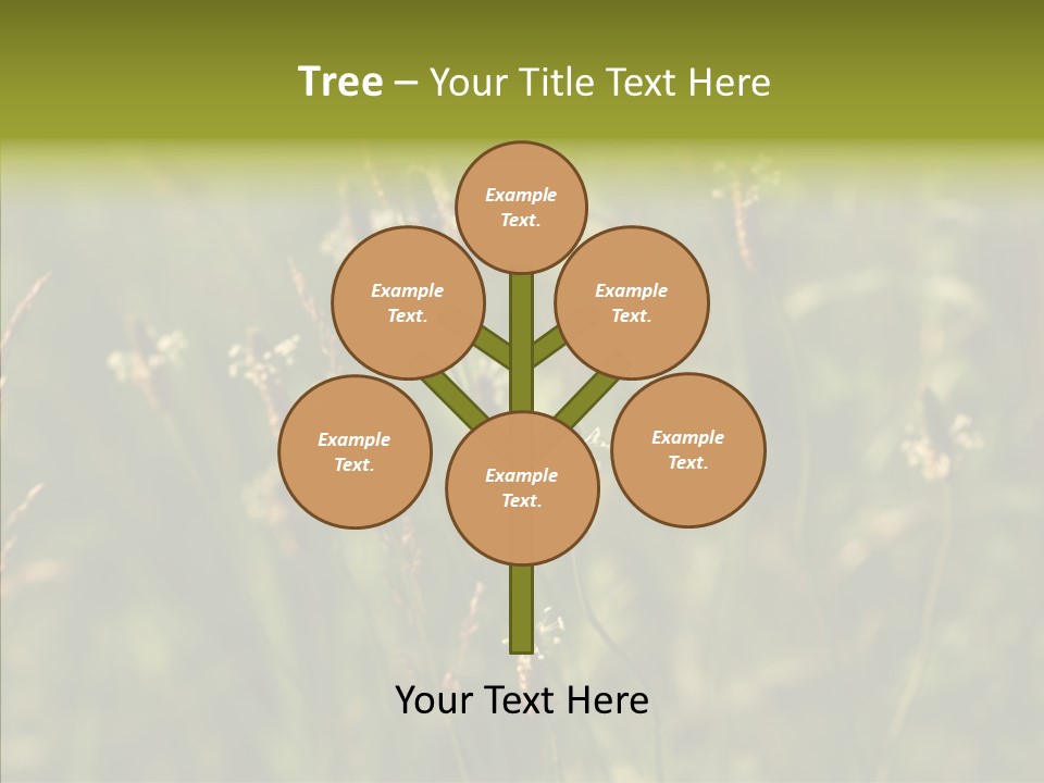 Sun Flower Under PowerPoint Template