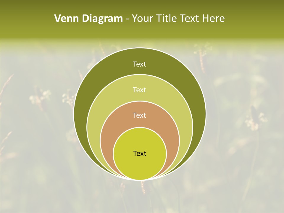 Sun Flower Under PowerPoint Template