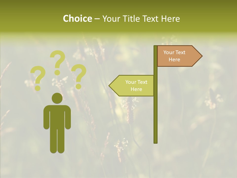 Sun Flower Under PowerPoint Template