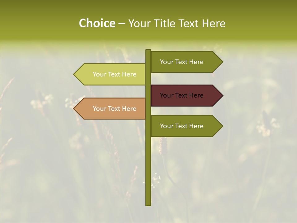 Sun Flower Under PowerPoint Template